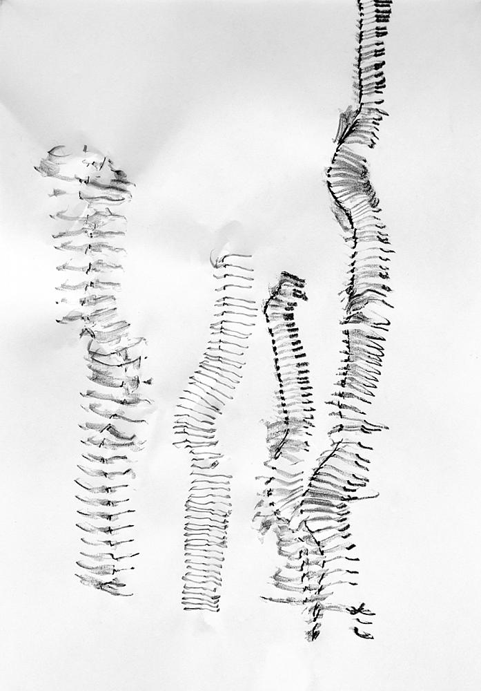 O.T. | 2017 | Zeichnung | Bleistift Papier | 30x21cm